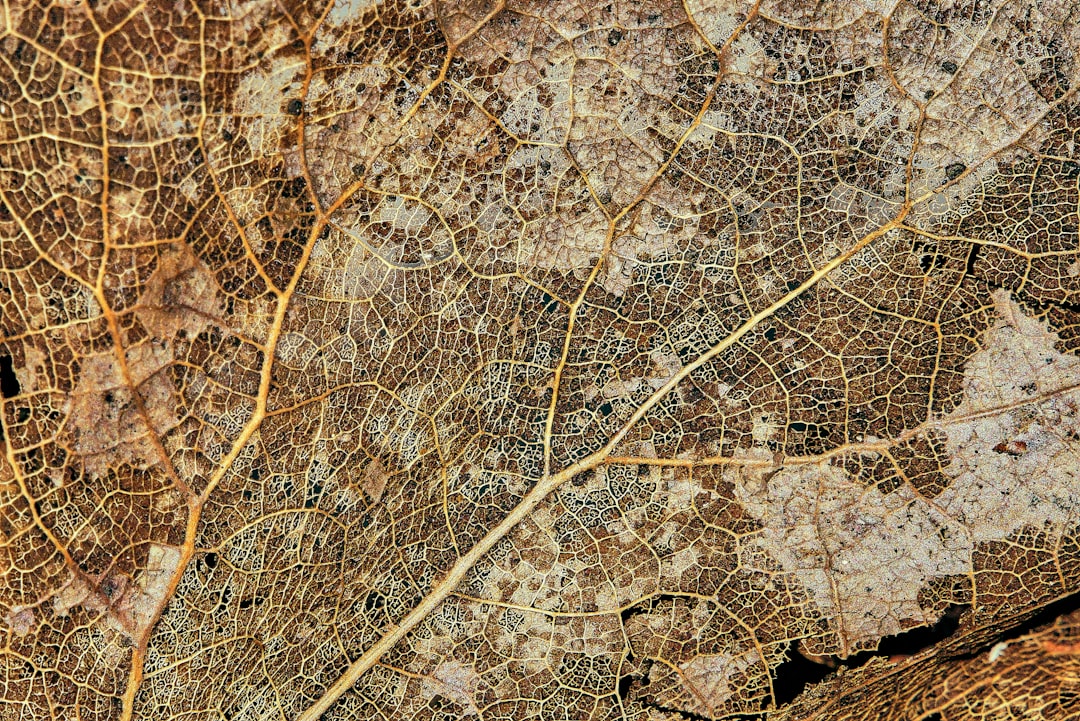 Blog Banner KI und Geodaten